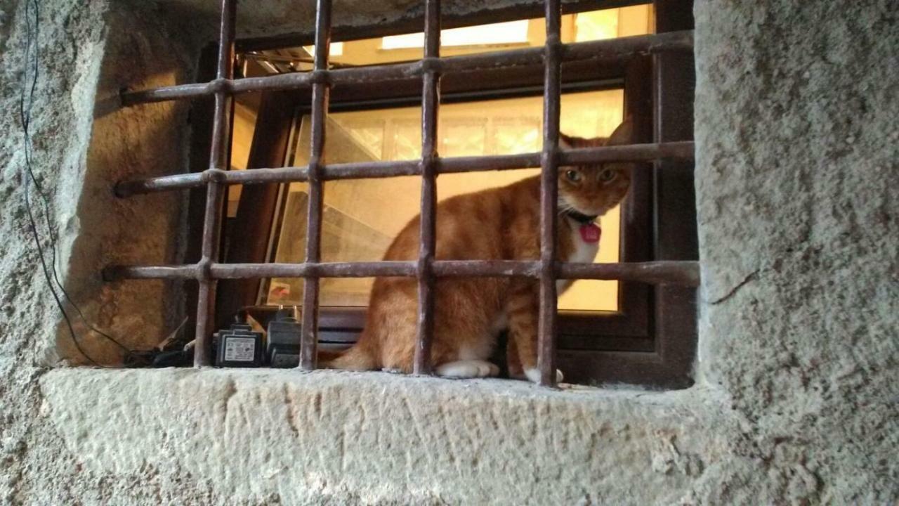 L'Arco Di Sersa Riccò del Golfo di Spezia Eksteriør bilde